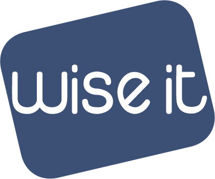 wiseit_logo