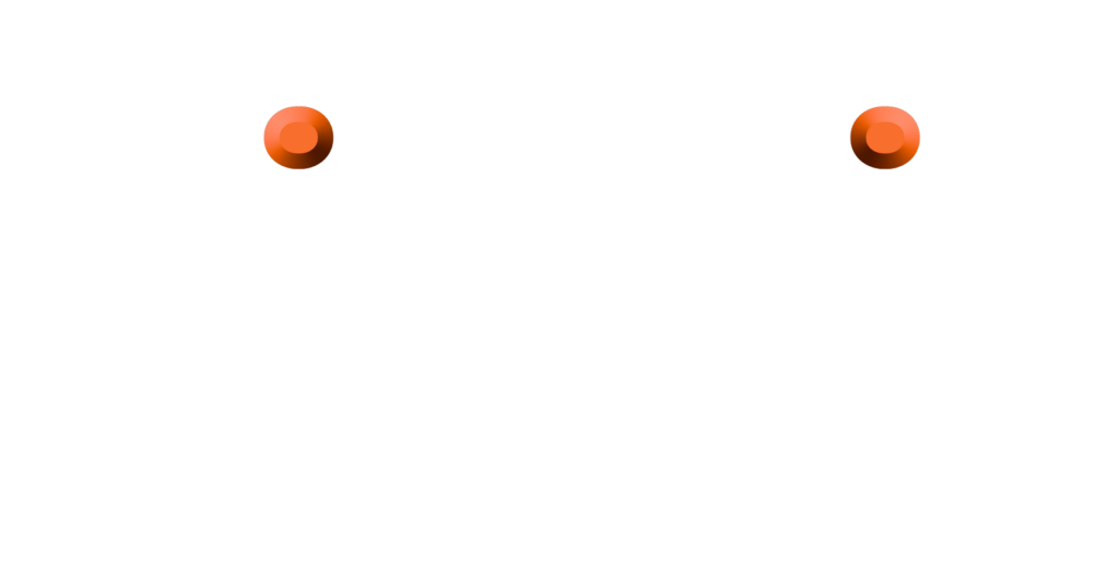 Fidelis Security Logo - White