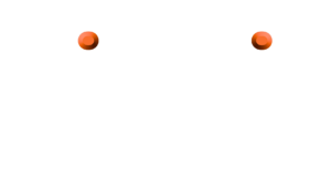 Fidelis Security Logo - White