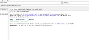 Nmap scan of Decoy Tarpit server