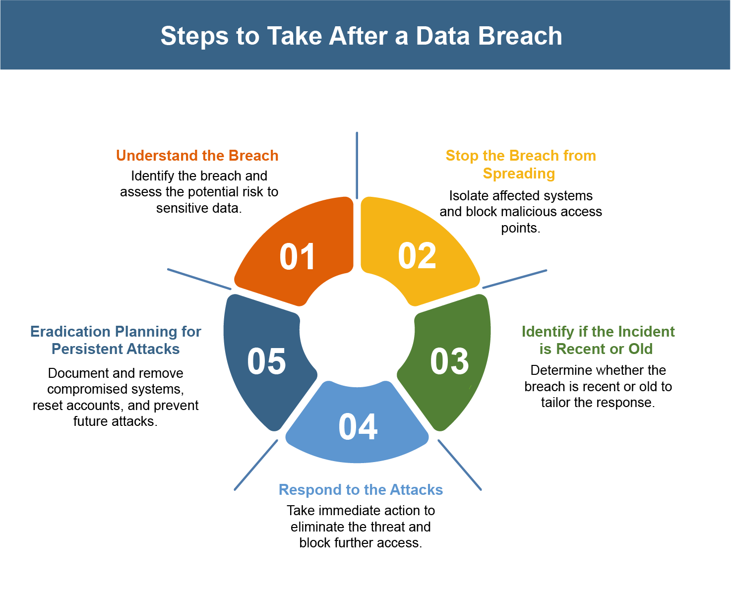 Steps to Take After a Data Breach