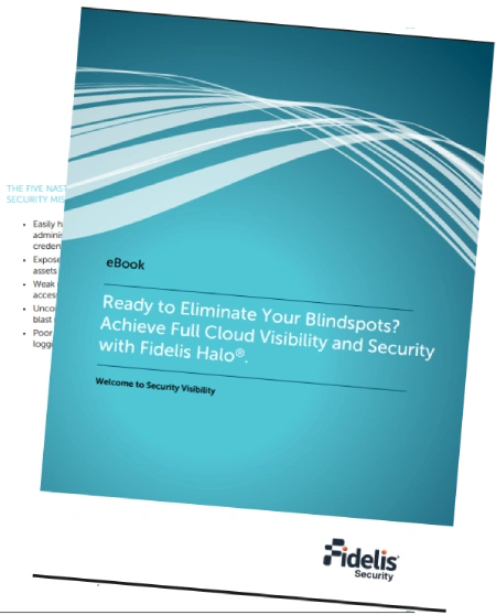 Eliminating Blindspots eBook Cover