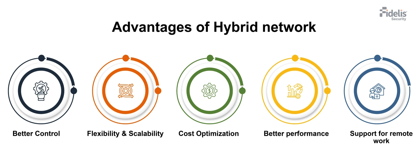 Advantages of Hybrid networks