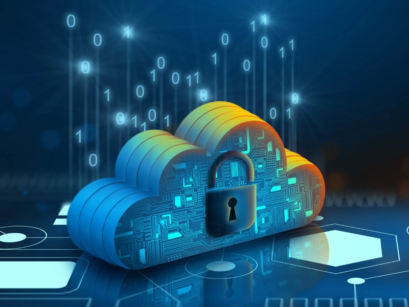Container Vulnerability Management Capabilities Fidelis